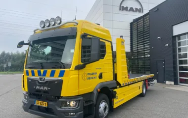 MAN TGM 15.290 4x2 BL CH